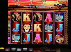 旺财28APP手机版