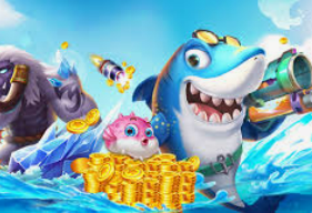 旺财28APP桌面版客户端