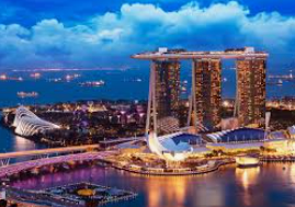 旺财28APP2024最新版